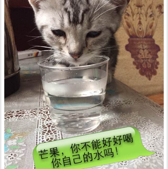 長岡大学环境科学学位证书